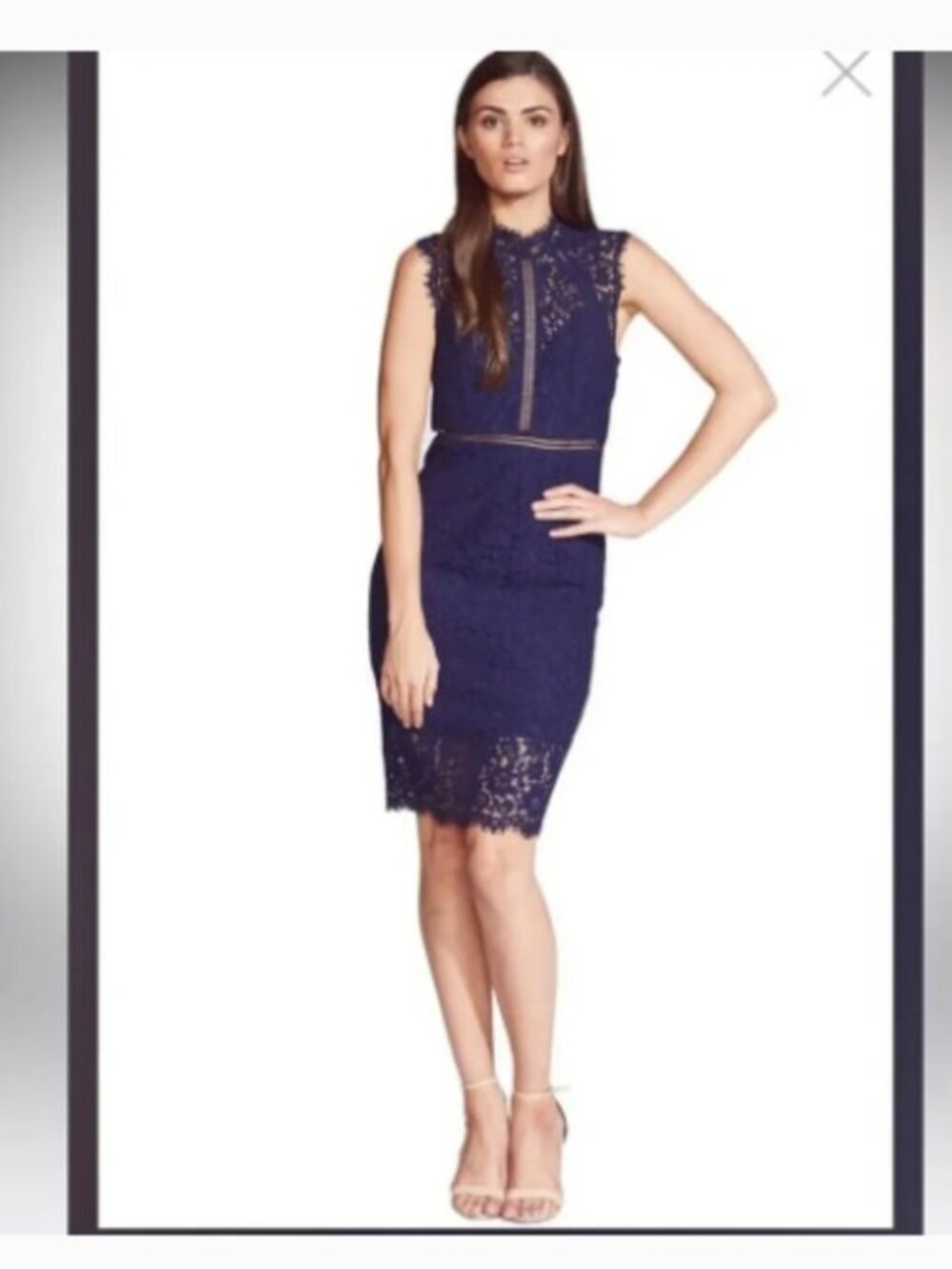 Bardot Navy Blue Lace Sheath Panel Dress Size XS